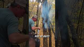 Tree found smoking in the middle of the woods 🔥 🌲 🎥 Teresa Tangen Dalzell via ViralHog [upl. by Atteynek]