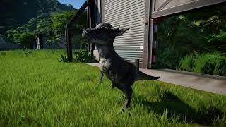 Jurassic World Evolution Modified Stygimoloch vs Proceratosaurus [upl. by Anal]