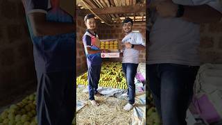 माझ्या मित्राकडील अस्सल देवगड हापूस आंबा 😍  Omkar Parab  8275825132  malvani kokan minivlog [upl. by Westphal]