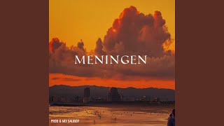 Meningen [upl. by Nahum]