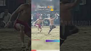 Today kabaddi match highlights prokabaddi kabaddi365live trendingvideo kabaddilive dullabagga [upl. by Melania]