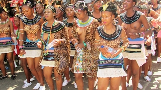 The beautiful tribal women of South Africa Ndebele Xhosa Zulu Basotho Venda Tsonga Tswana [upl. by Ammej268]