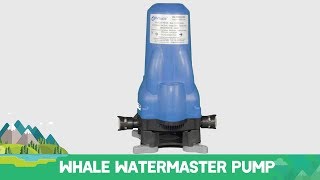 Whale WaterMaster Pump [upl. by Jodie535]