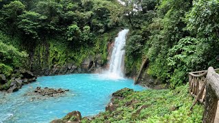 Rio Celeste Waterfall Hike  Tenorio Volcano National Park  Costa Rica  Oct 2022 [upl. by Assirk403]