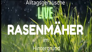 Rasenmäher amp Vogelgezwitscher beruhigende Geräusche zum Einschlafen amp Entspannen Naturgeräusche [upl. by Rudolph]