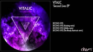 Vitalic  Second Lives Bloody Beetroots Remix [upl. by Digdirb]