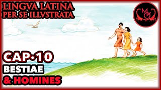 Lingua Latina Per Se Illustrata Cap10 Bestiae amp Homines  LLPSI FAMILIA ROMANA [upl. by Livesay]