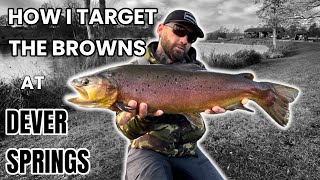 The ‘ELUSIVE’ Brown Trout At Dever Springs [upl. by Yarrum]