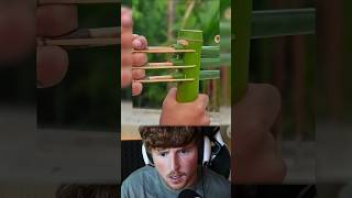 DIY Bamboo Bow and Arrow bamboo slingshots diy [upl. by Aibos522]