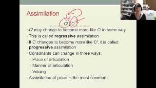 English Phonology Lecture 5 2 Aspects of connected speech [upl. by Lazaro]