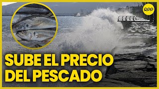 Oleaje anómalo provoca alza el el precio del pescado [upl. by Miahc]