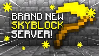 BRAND NEW SKYBLOCK SERVER OF 2024  Minecraft Skyblock  18  121 [upl. by Rollet]