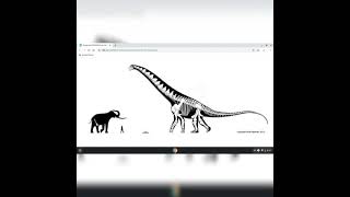 Palaeoloxodon Namadicus And Alamosaurus Size Comparison [upl. by Ahola]