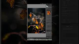 Quick Tips  Editing a Backlit Leaf Scene [upl. by Lehrer]