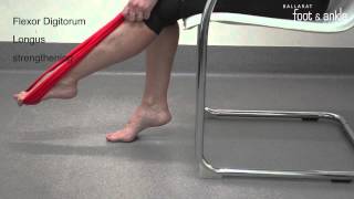 BFAAC Flexor Digitorum Longus Strengthening [upl. by Atneciv]