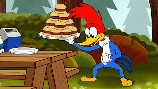 Who Stole Woodys Hamburgers  1 Hour of Woody Woodpecker Full Episodes [upl. by Aggy217]