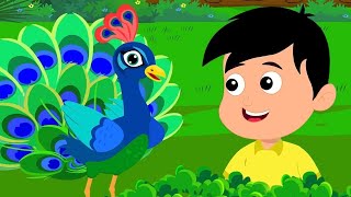 nache re mor  titli rani  ek mota hathi amp more rhymes  hindi rhymes for toddlers [upl. by Goles]