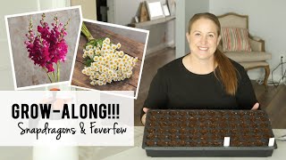 Growalong Video One How to Start Snapdragons amp Feverfew from Seed  Growing Cut Flowers [upl. by Agiaf138]