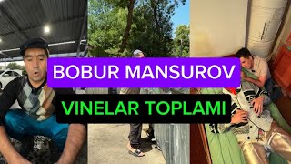 BOBUR MANSUROV  VINELAR TOPLAMI  ENG SARA VINELAR 2024 [upl. by Catherine]