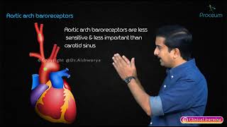 Peripheral Baroreceptors amp Chemoreceptors [upl. by Aytnahs850]