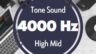 4000 Hz Frequency Sound Tone Audio Signal Sine Waveform High MID [upl. by Eissehc]