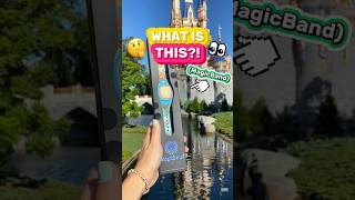 What the HECK is a MagicBand 🤔🏰 Disney MagicBand Explained [upl. by Brice4]