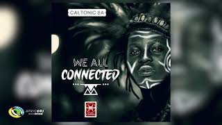 Caltonic SA and Djy Vino  We All Connected Feat B33kay SA and Mazah Official Audio [upl. by Naanac]