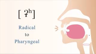 ʡʰ  unvoiced aspirated radical pharyngeal stop [upl. by Portuna]