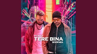 Tere Bina [upl. by Haynor]