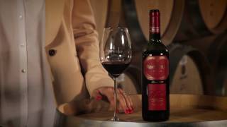 Montecillo Rioja Crianza Wine [upl. by Bennink156]