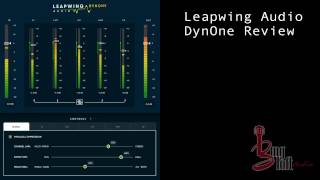 Leapwing Audio DynOne Review [upl. by Blackman854]