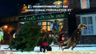 Compare the Meerkat  Coronation Street Advert 81 [upl. by Renard]