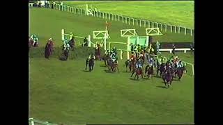 1983 Grand National Handicap Chase Aintree [upl. by Ellekcir]