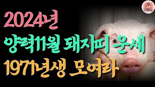 71년돼지띠 11월운세  돼지띠 운세 2024 11월  1971년생 갑진년운세  11월 운세  나이별운세 무료운세 돼지띠금전운 돼지띠재물운  사주풀이 사주팔자 사주 [upl. by Anerys]