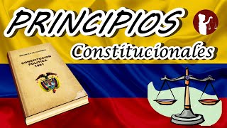 LOS PRINCIPIOS CONSTITUCIONALES  Estudiantes del Siglo [upl. by Ettenwad]