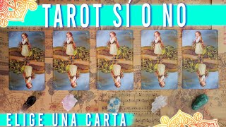 TAROT SÍ O NO PREGUNTA LO QUE QUIERAS SABER 🔮✨ [upl. by Aimar]