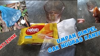 RACIKAN UMPAN GACOR ANTI ZONKBUAT IKAN WADER SIMPEL TIDAK NGURAS KANTONG [upl. by Meirrak]