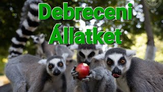 Debreceni Állatkert és kicsit a Vidámpark [upl. by Arty]