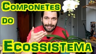 ECOSSISTEMA Componentes BióticosAbióticos e Funcionamento Geral [upl. by Htiffirg362]