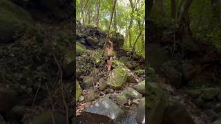 Trail running parkour Movement TrailRunning Nature Hawaii Shorts ￼ [upl. by Maryjane]