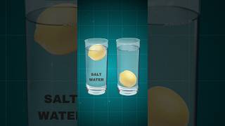 Lemon in Salt Water vs Normal Water  Journey of Experiment  buoyancy [upl. by Roderic318]