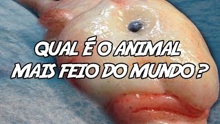 7 criaturas extremamente bizarras do fundo do mar [upl. by Nosak]