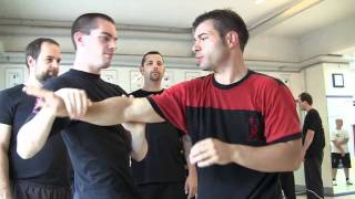 Wing Tsjun  Sifu David rocksm4v [upl. by Pinchas]