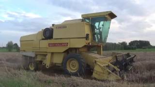 Landb Schollier  Drongen  maaidorsen  Clayson 8070 en 8060 [upl. by Ford]