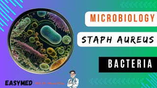 Staphylococcus Aureus  Microbiology EASYMED  DR USAMA KHAN [upl. by Ecirual220]