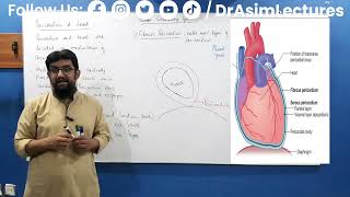 Pericardium  Pericardium Anatomy  Part 01 [upl. by Dorehs]