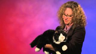 Folkmanis® Tuxedo Cat Puppet Demo  Retired [upl. by Plath]