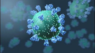 3D Animation How Do I Protect Myself From Coronavirus COVID19 [upl. by Walls491]