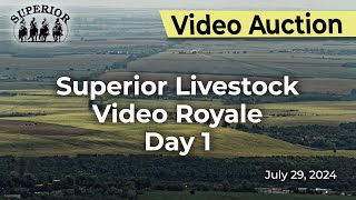 Superior Livestock AuctionVideo Royale Day 1 [upl. by Llenoil]