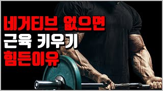 초보자건 상급자건 네거티브는 필수입니다 근성장 최적의 메커니즘 네거티브원심성수축 [upl. by Brittney788]